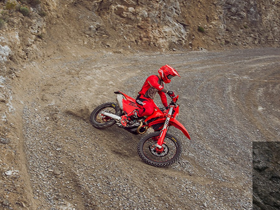 2025 Gas Gas EC 450F - 310675F