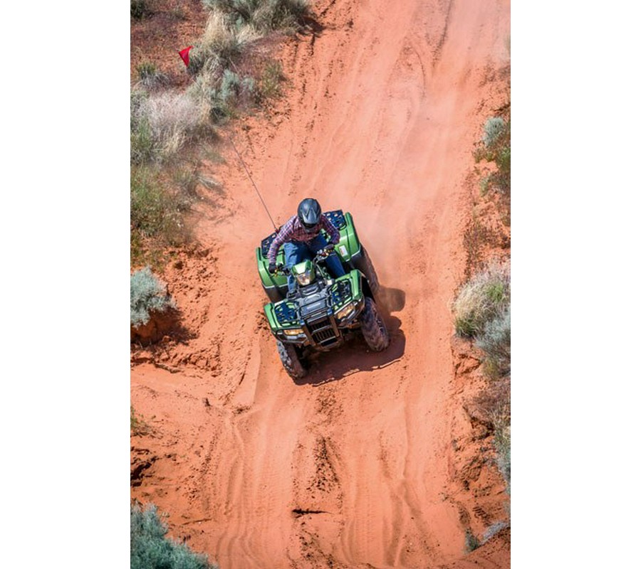 2020 Honda FourTrax Foreman Rubicon 4x4 Automatic DCT EPS