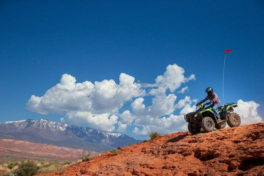 2020 Honda FourTrax Foreman Rubicon 4x4 Automatic DCT EPS