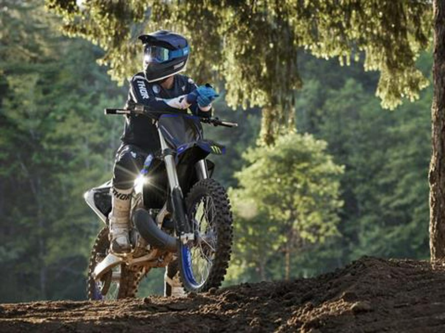 2025 Yamaha YZ250 Monster Energy Edition