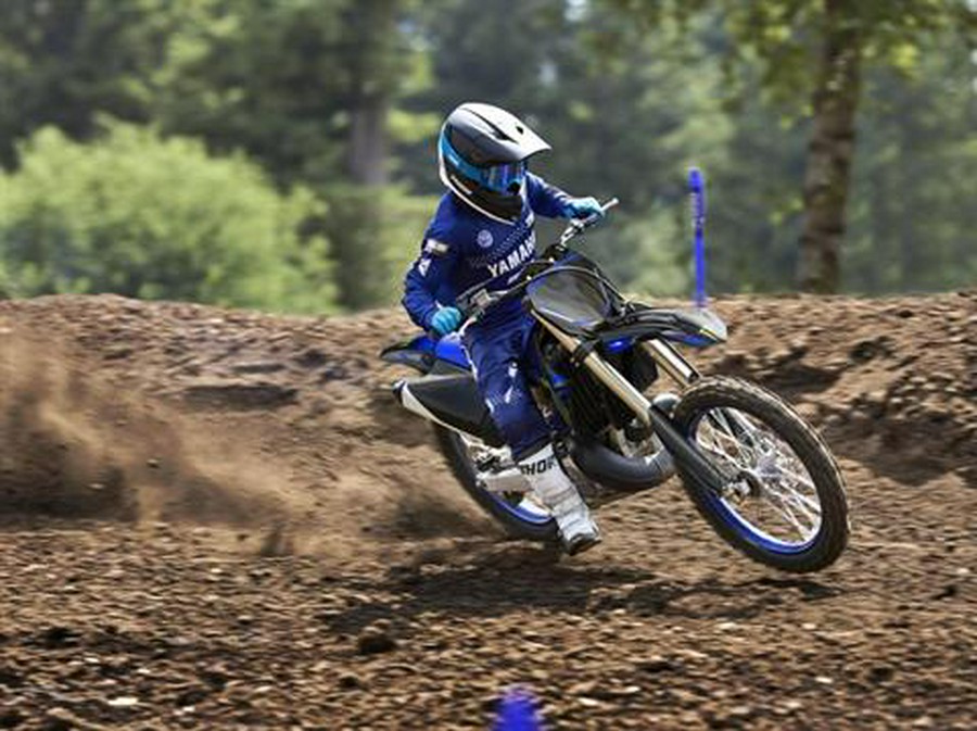 2025 Yamaha YZ250 Monster Energy Edition