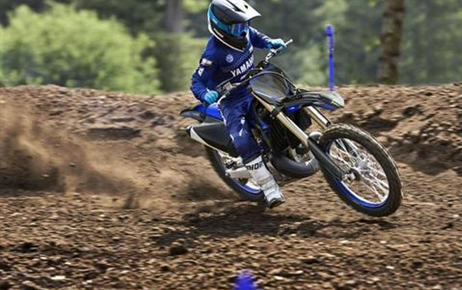 2025 Yamaha YZ250 Monster Energy Edition