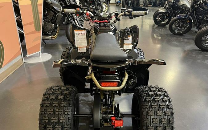 2026 Denago Powersports Trailhawk 10FI