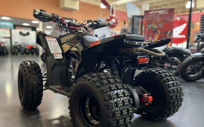 2026 Denago Powersports Trailhawk 10FI
