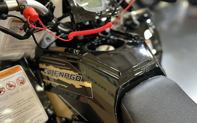 2026 Denago Powersports Trailhawk 10FI