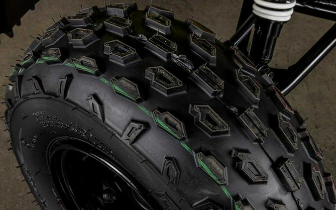 2026 Polaris Outlaw 110 EFI 110
