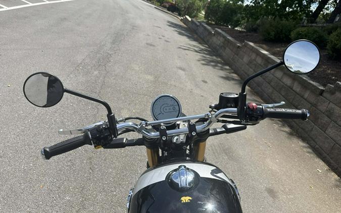 2025 Royal Enfield INT BEAR 650