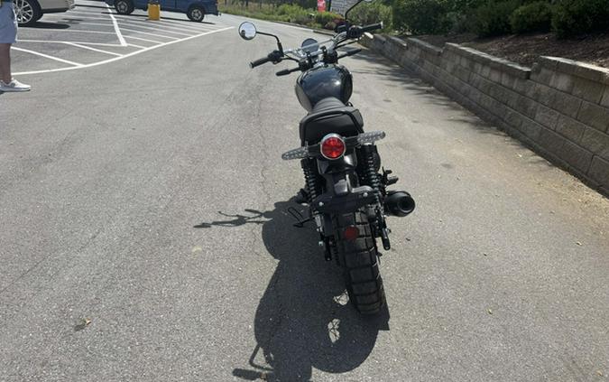 2025 Royal Enfield INT BEAR 650