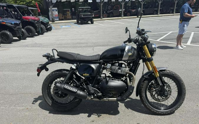 2025 Royal Enfield INT BEAR 650