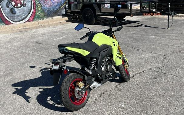 2026 Kawasaki Z125 PRO