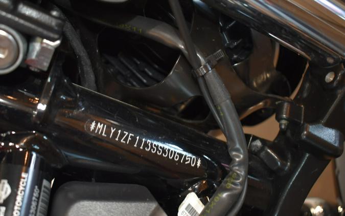 2025 Harley-Davidson® Nightster® Special Whiskey Fire