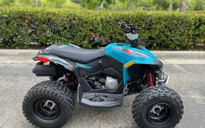 2024 Can-Am® Renegade 110 EFI