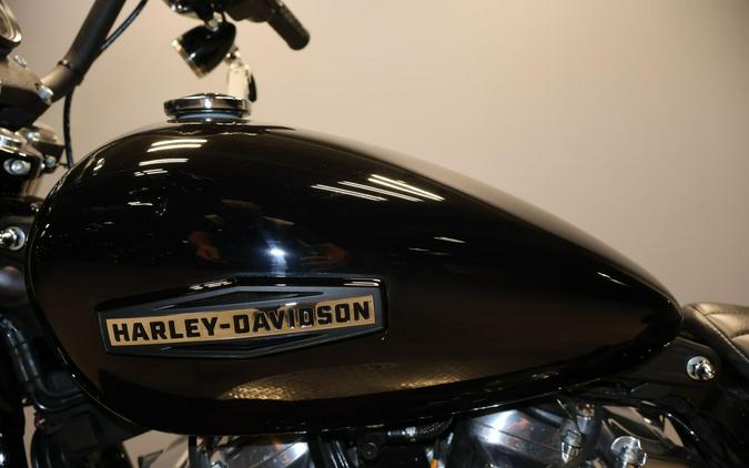 2025 Harley-Davidson Street Bob FXBB