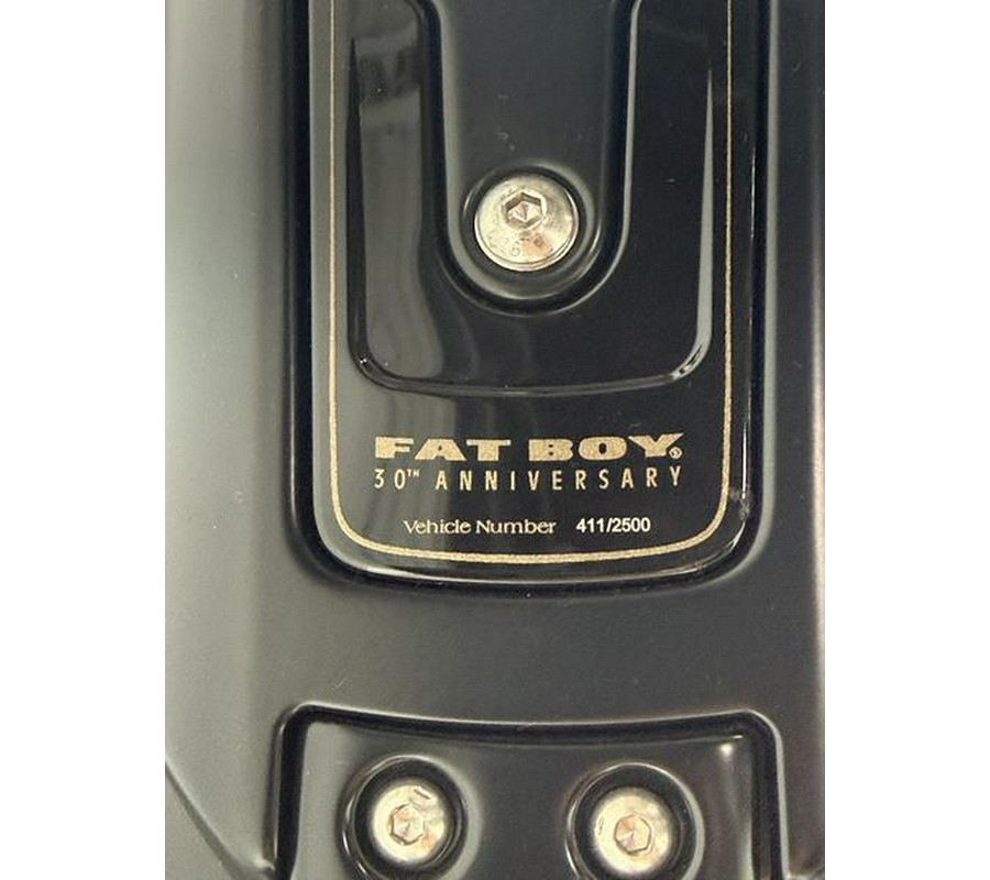 2020 Harley-Davidson® FLFBSANV - Softail® Fat Boy® 114 30th Anniversary