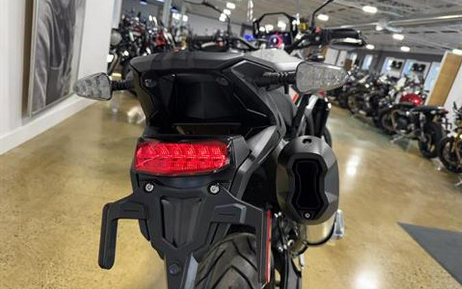 2025 Triumph Tiger 900 Rally Pro