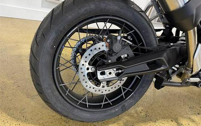 2025 Triumph Tiger 900 Rally Pro