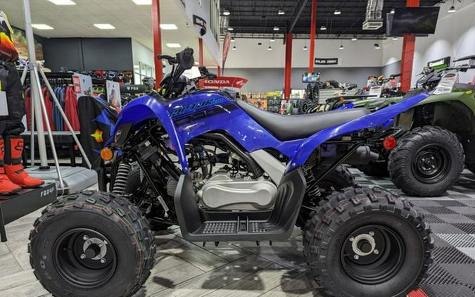 2024 Yamaha Raptor 110