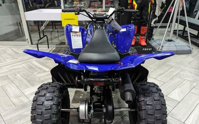 2024 Yamaha Raptor 110