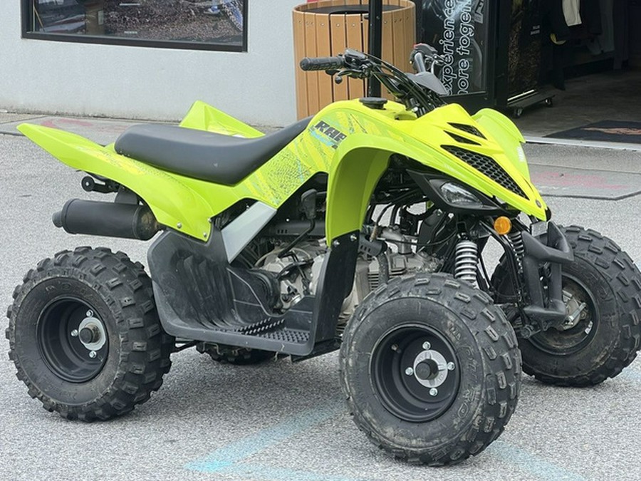 2026 Yamaha Raptor 110