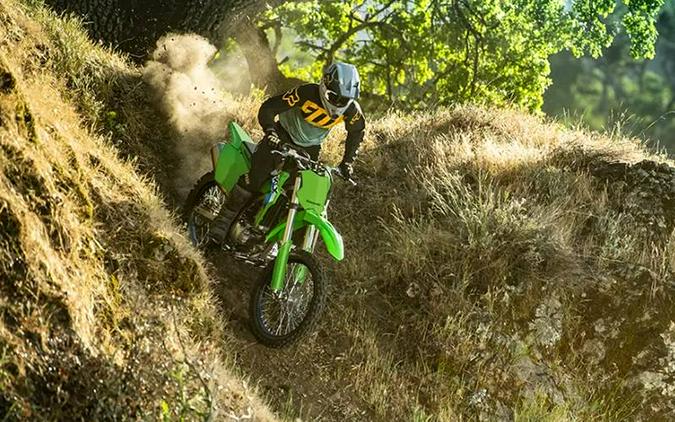 2027 Kawasaki KLX® 300R