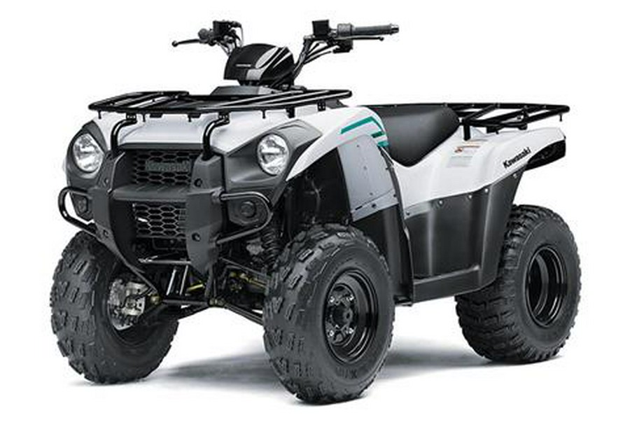 2023 Kawasaki Brute Force 300