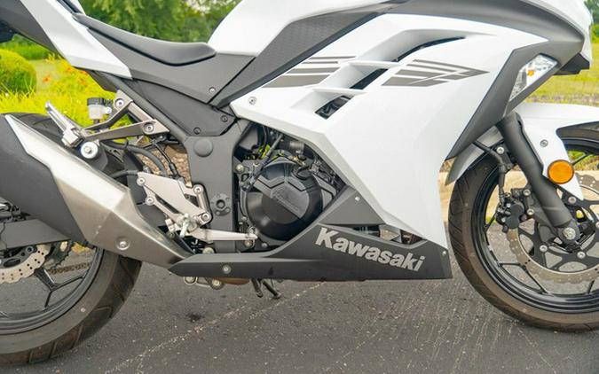 2017 Kawasaki Ninja 300