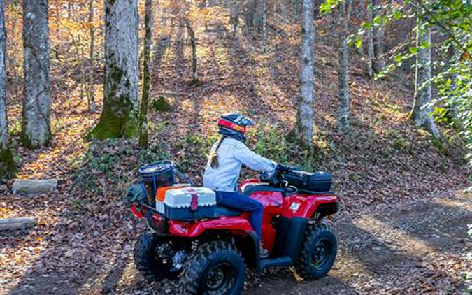 2025 Honda FourTrax Rancher 4x4