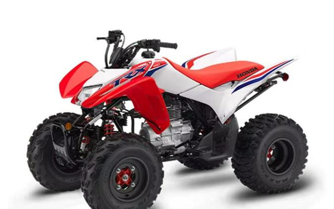 2024 Honda® TRX250X