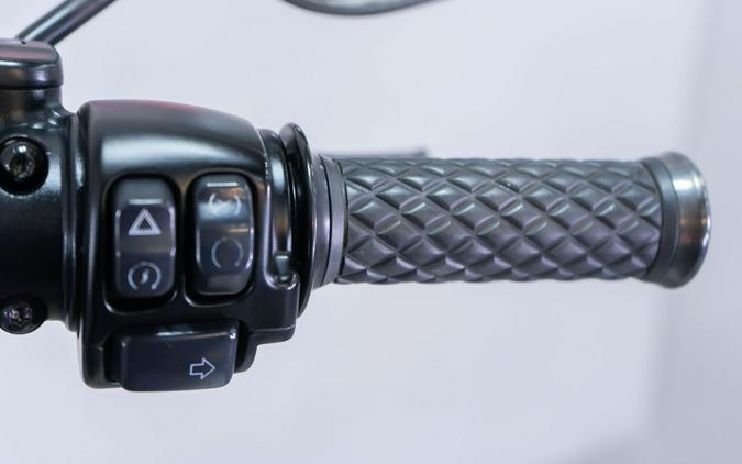 2020 Harley-Davidson Softail® Standard