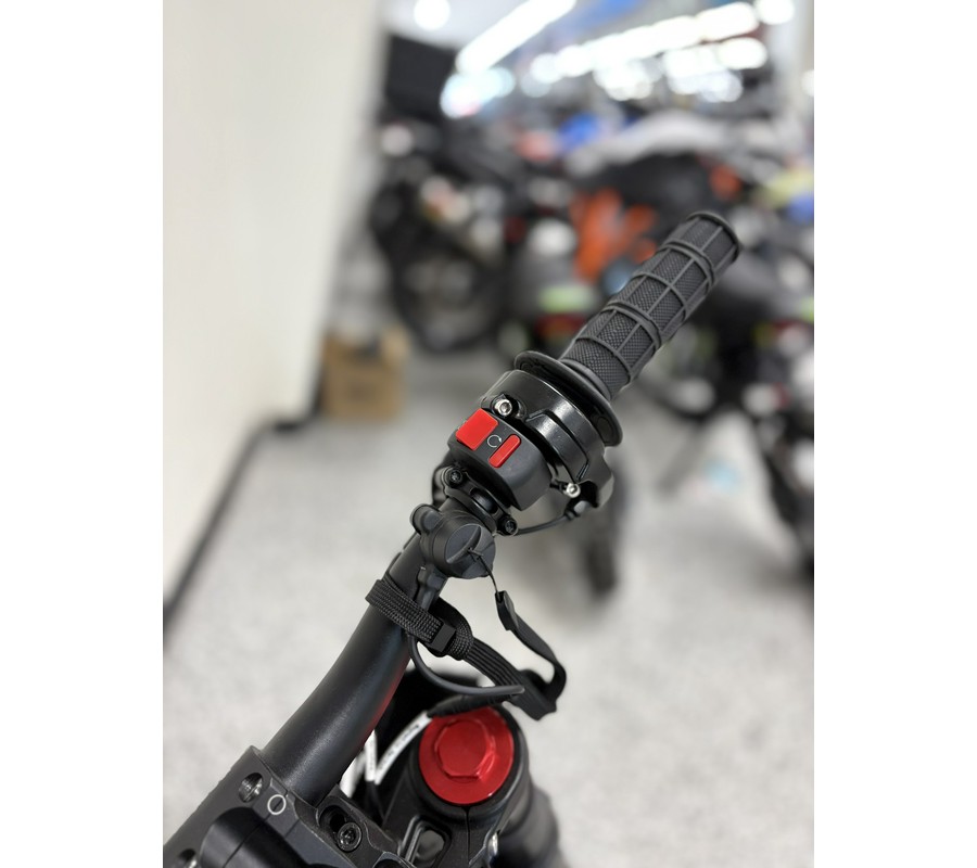 2025 Rawrr MINI R - RA0717