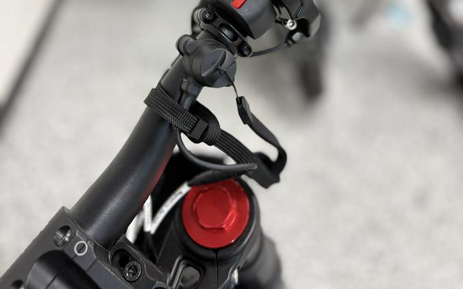 2025 Rawrr MINI R - RA0717