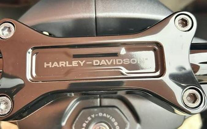 2026 Harley-Davidson® FLTRX - Road Glide®