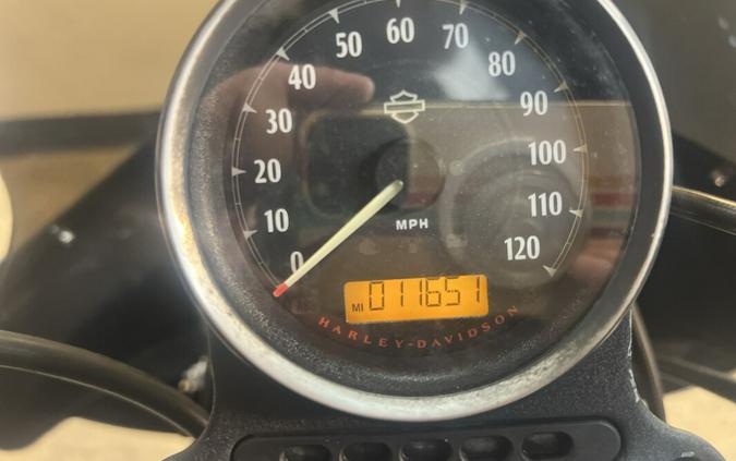 2020 Harley-Davidson Iron 883