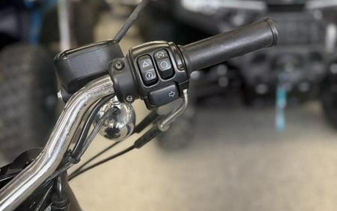 2019 Harley-Davidson® XL 1200CX - Sportster® Roadster™