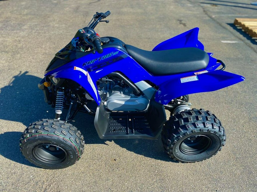 2025 Yamaha Raptor 110