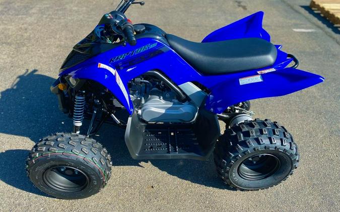 2025 Yamaha Raptor 110