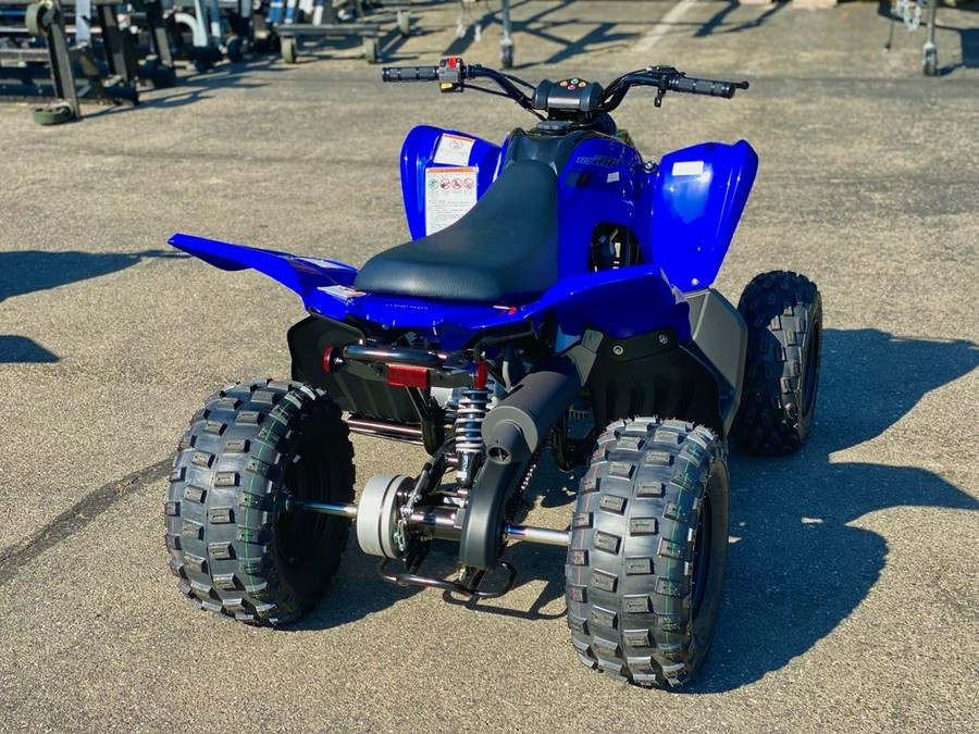 2025 Yamaha Raptor 110