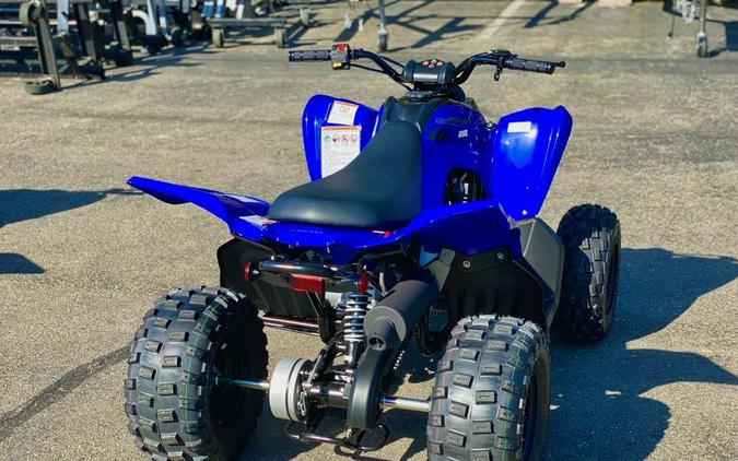 2025 Yamaha Raptor 110