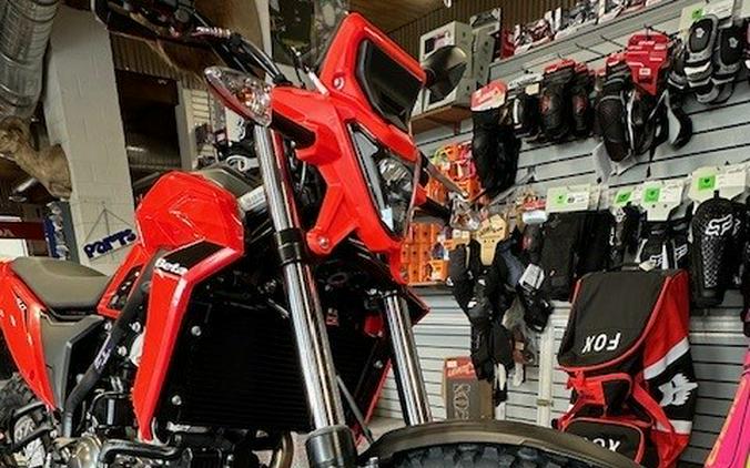 2026 Beta Motorcycles ALP 4.0