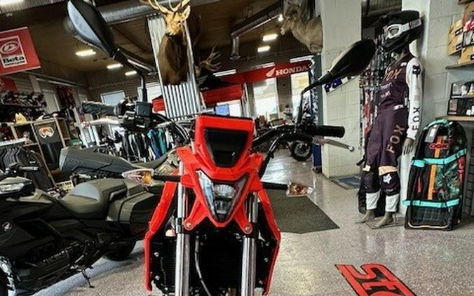 2026 Beta Motorcycles ALP 4.0