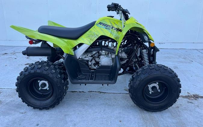 2026 Yamaha Raptor 110