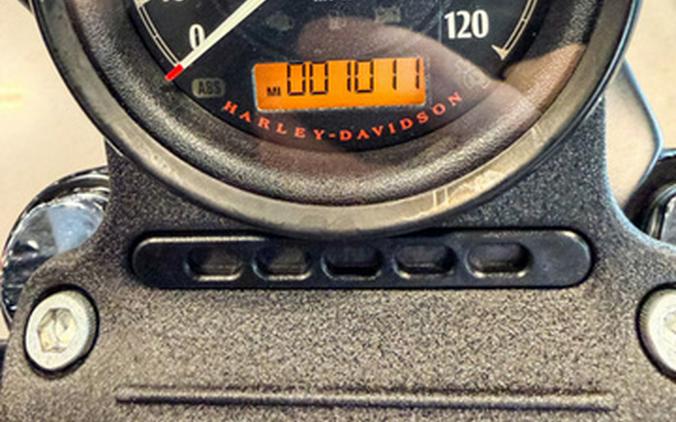 2022 Harley-Davidson XL883N - Iron 883