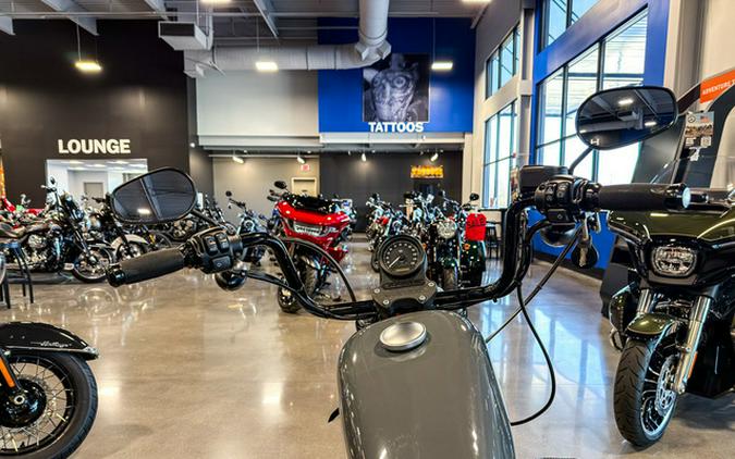 2022 Harley-Davidson XL883N - Iron 883