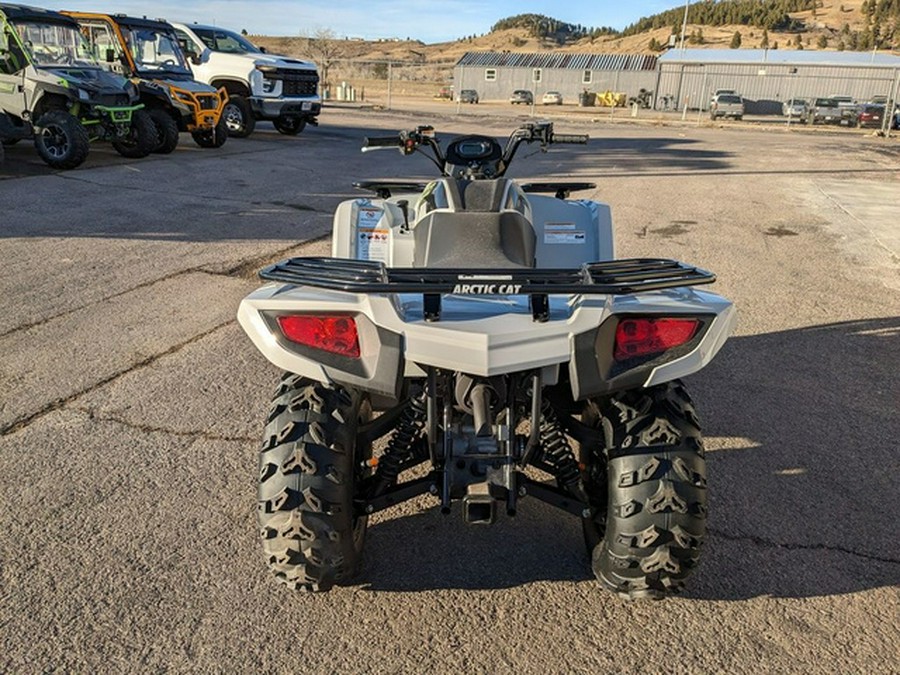 2024 Arctic Cat Alterra 450