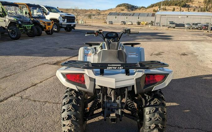 2024 Arctic Cat Alterra 450