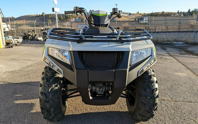 2024 Arctic Cat Alterra 450