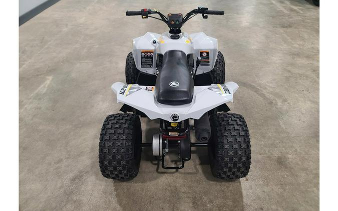 2026 Renegade 110 EFI - Can-Am