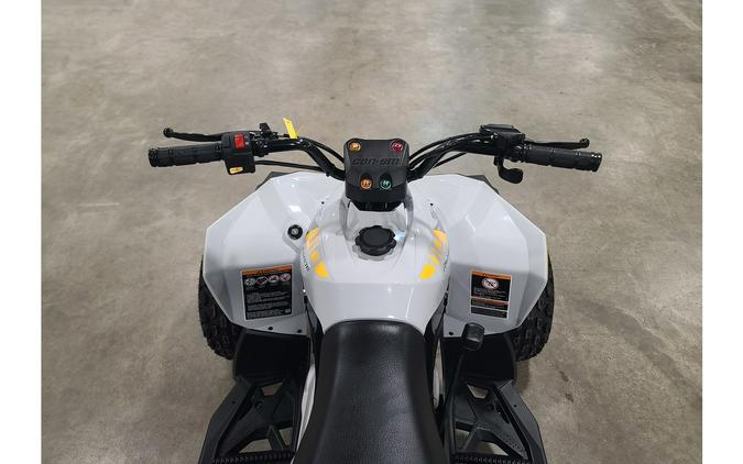 2026 Renegade 110 EFI - Can-Am