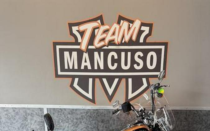 2008 Harley-Davidson® FXDL - Dyna® Low Rider