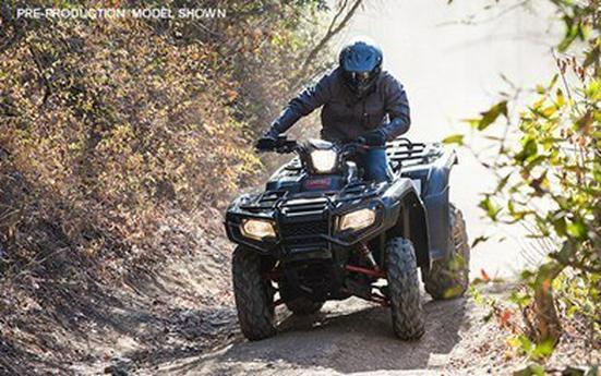 2015 Honda FourTrax® Foreman® Rubicon® 4x4 EPS